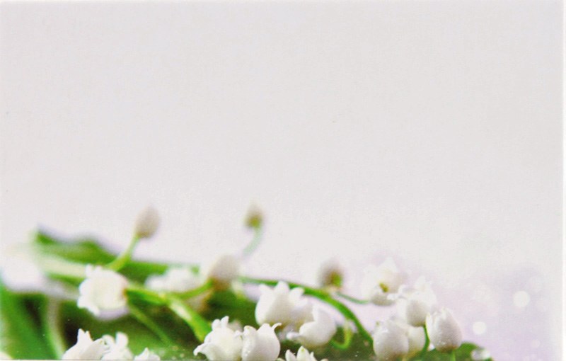 Picture of Florist Cards Small Lily Of The Valley x 50pcs